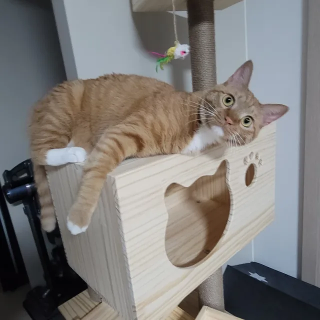 오복