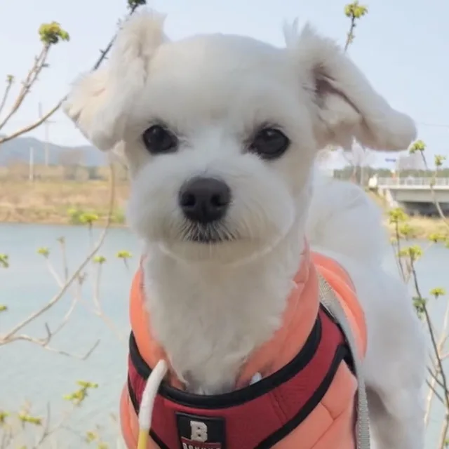 윤윤