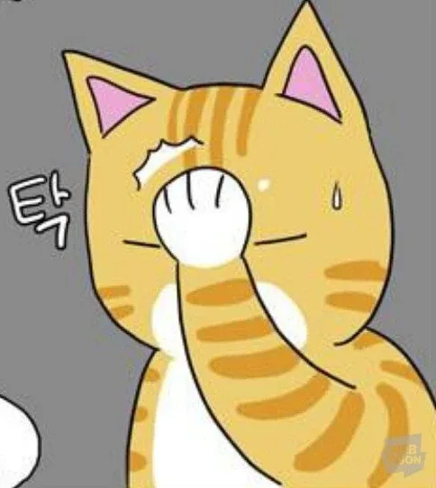 강남주민김애용