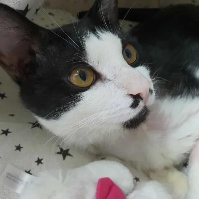 점박아잘있니