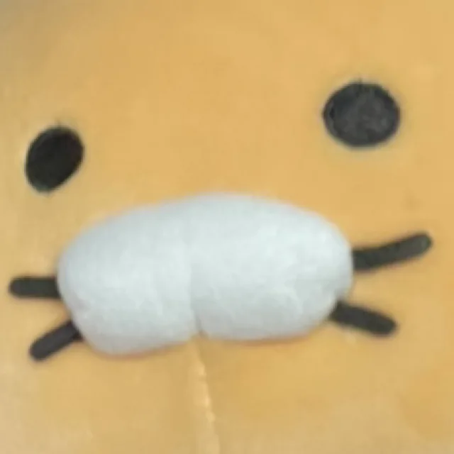 장사장