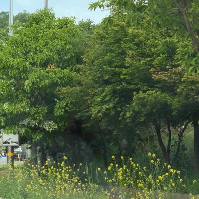 초록초로옥
