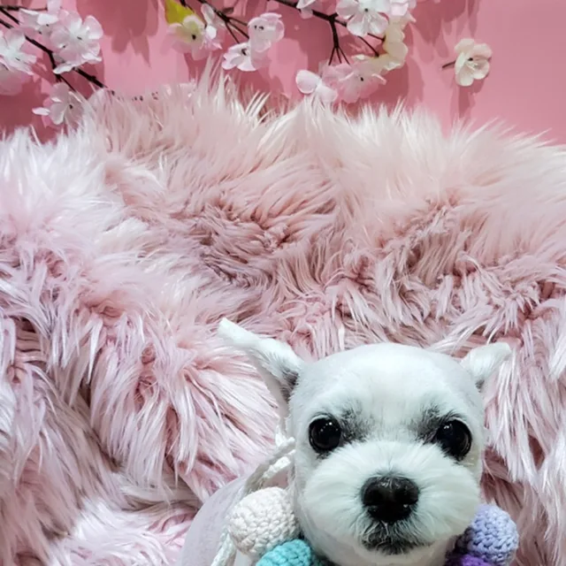 콩순이