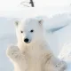이기리라