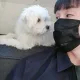 무조건직거래