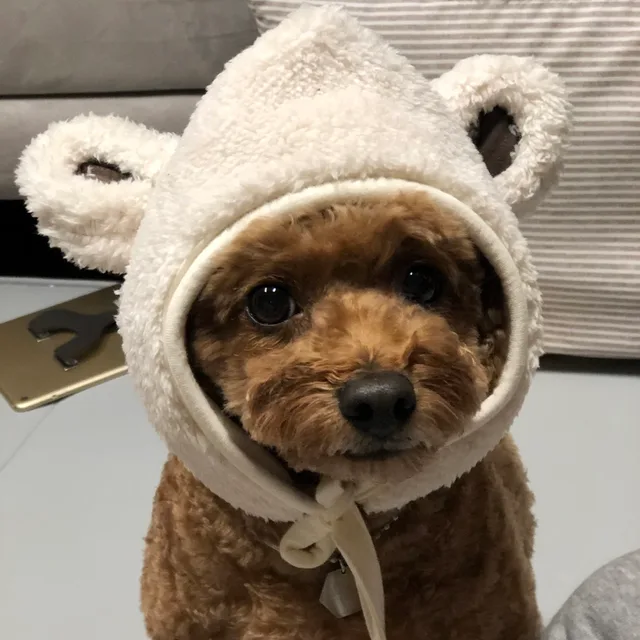알쏭달쏭