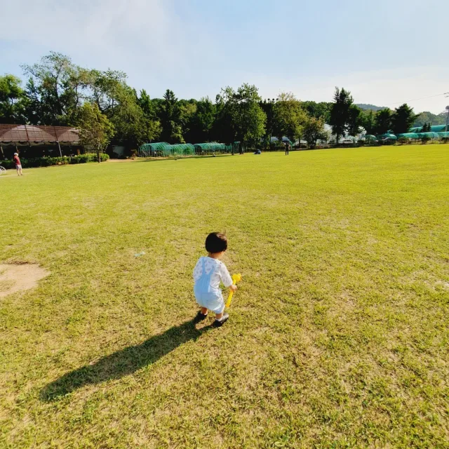 라임맛