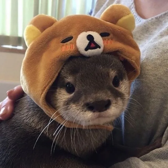 닝닝