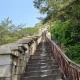 전전