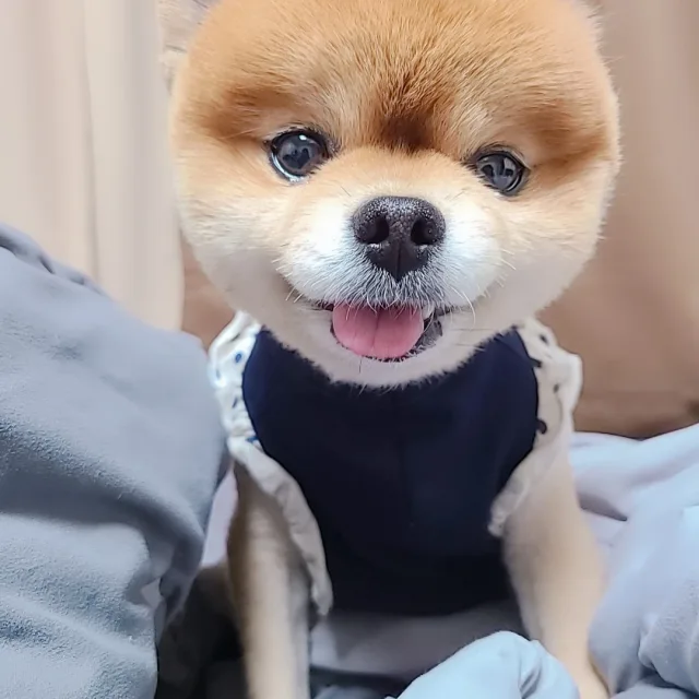 길산길산잉