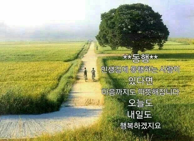 들꽃향기