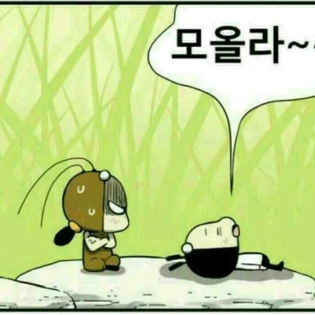 최고가성비
