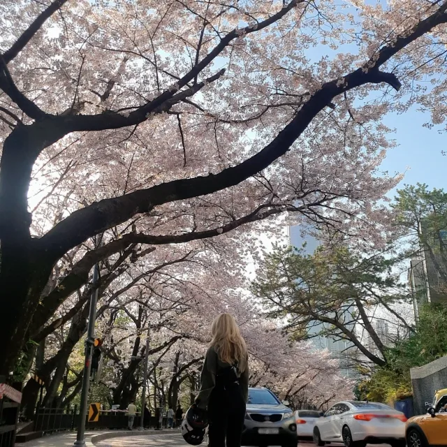 뭐든당근