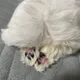 뜨또