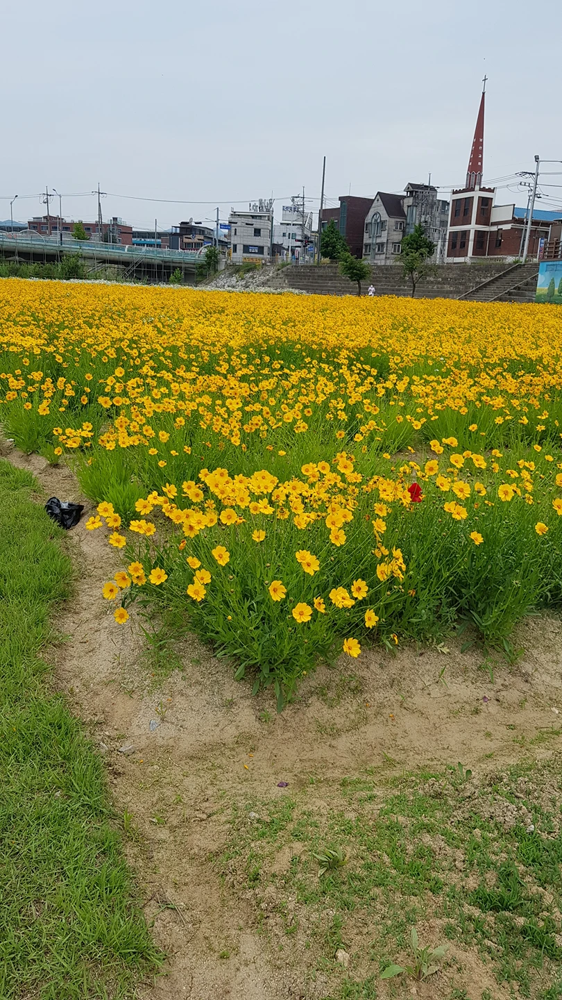 내사랑건우