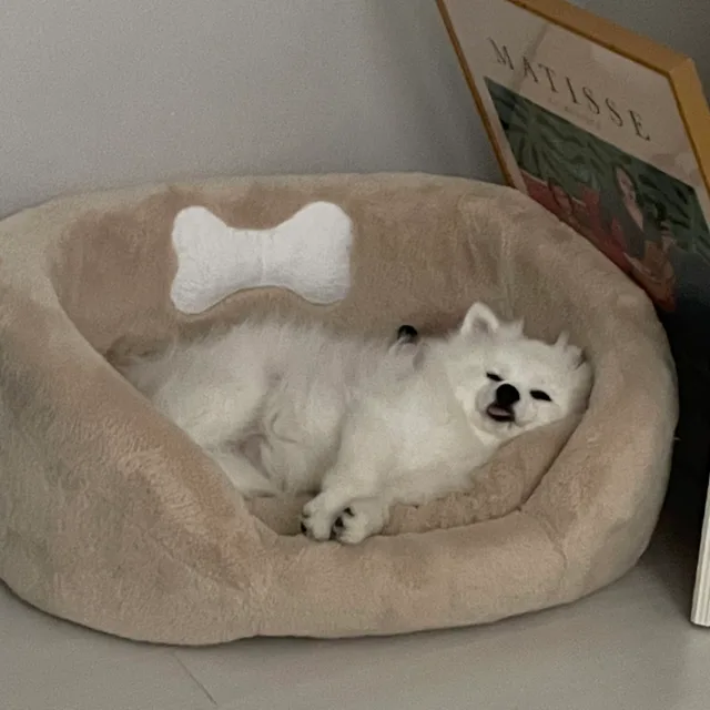 바게트쑨이