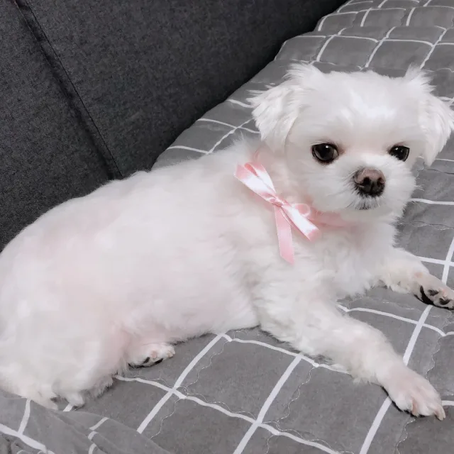 구리구리통통통