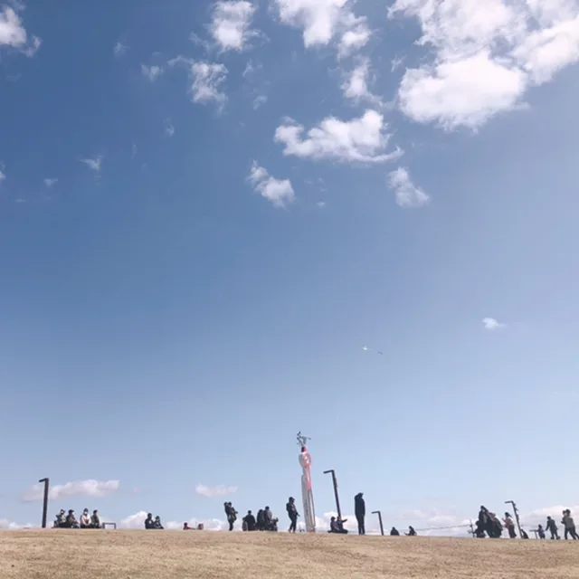 보니