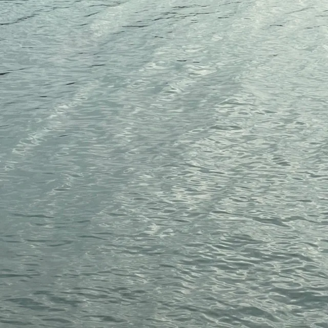 하늘색