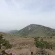 당근매니아