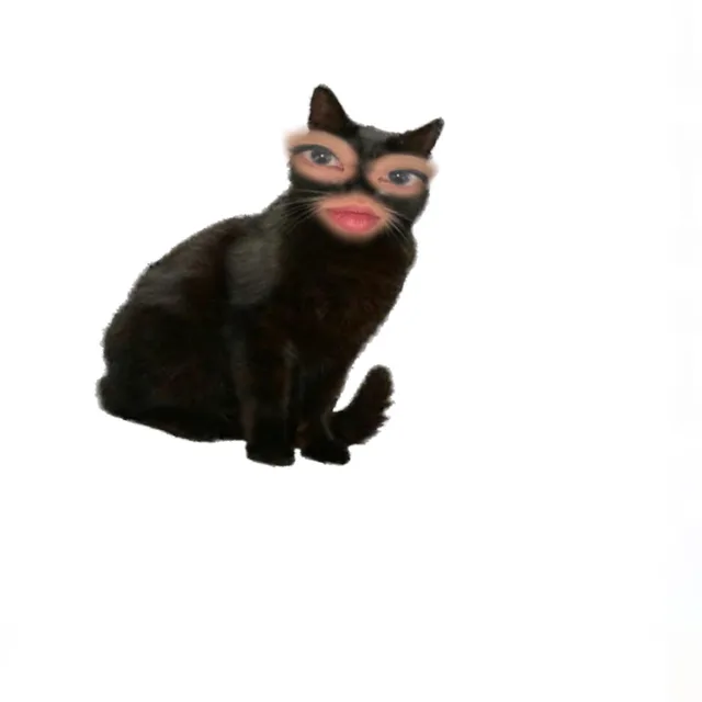엘리