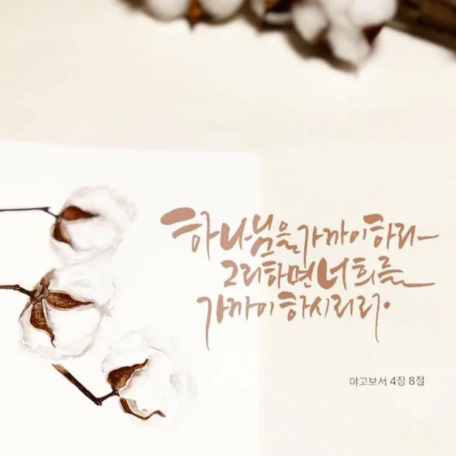 스파이