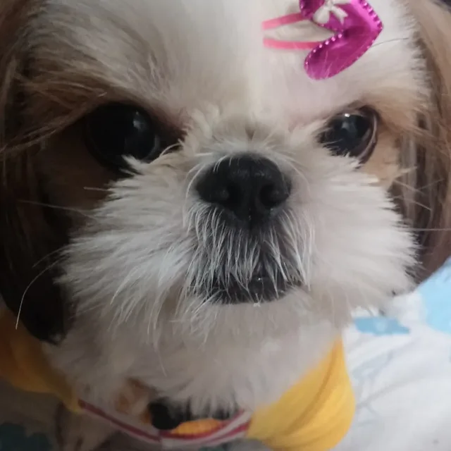 몽실맘