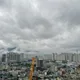 중식조아
