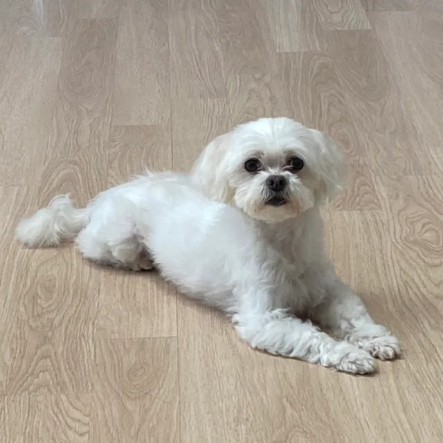 태승엄빠