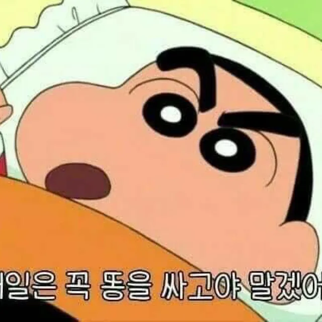 핑크개미