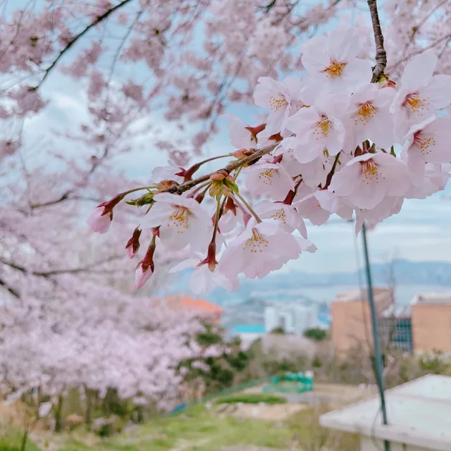 뭉뭉