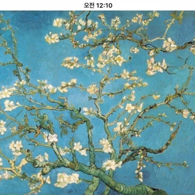 파프리카