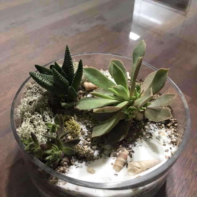 리뷰 프로필 이미지