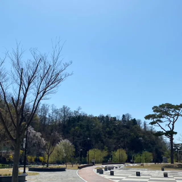 자라같은끈기