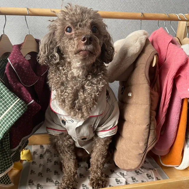 행운