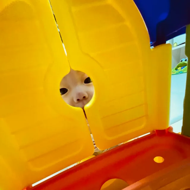 HM