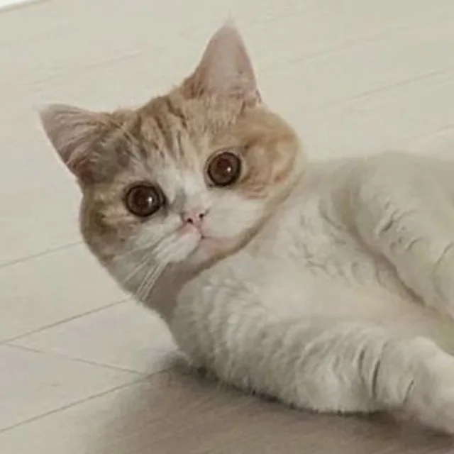 잉여
