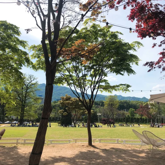 씨안