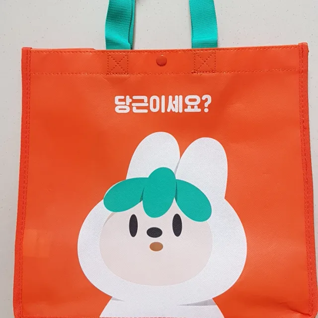 카라향기