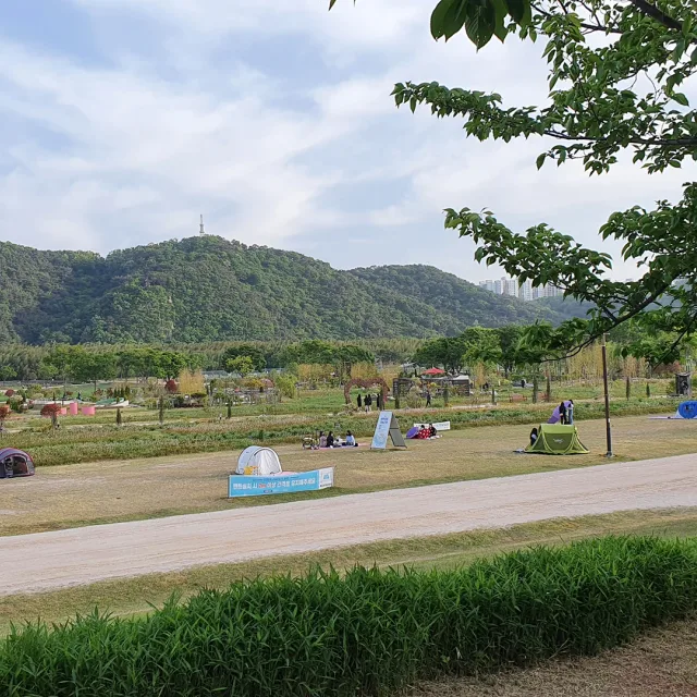더스트