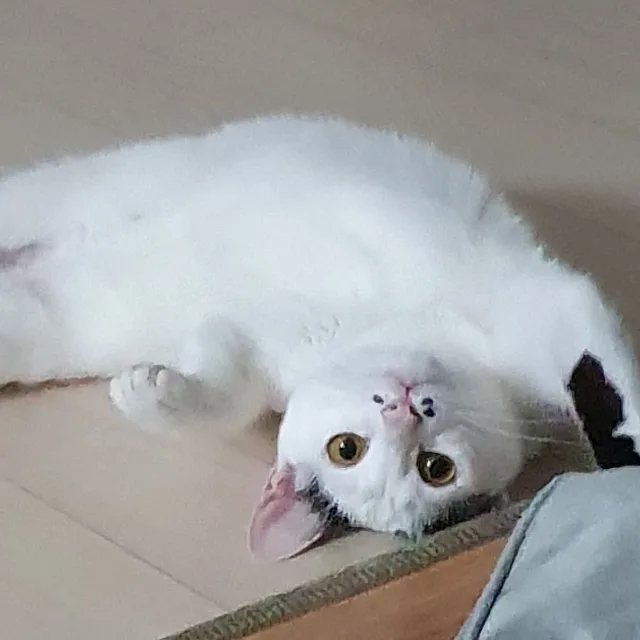 숨숨