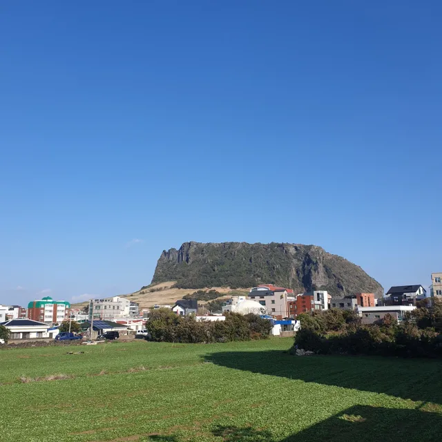 제콩