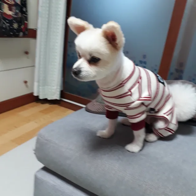 비산파이5