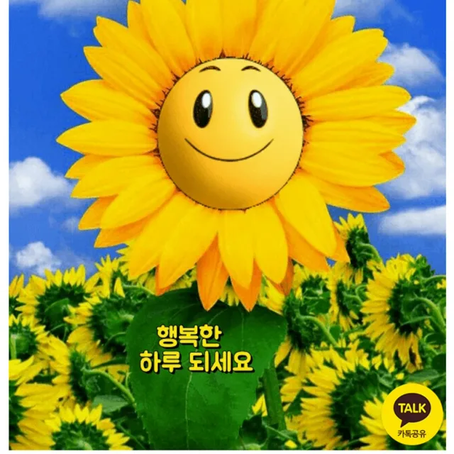 조은인연