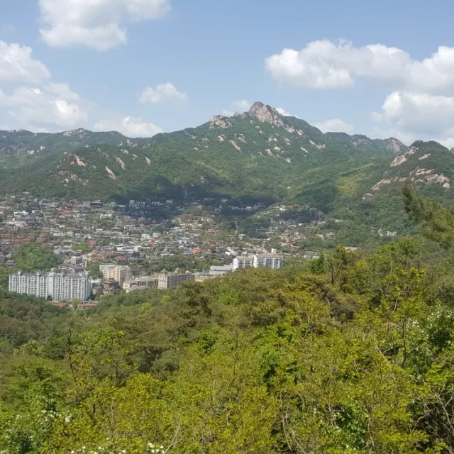 스카이뷰