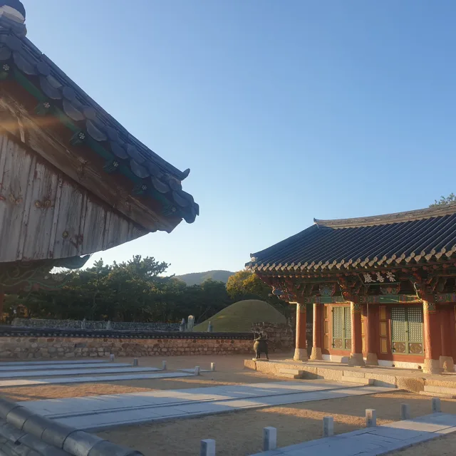 하이타