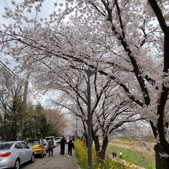 당군마켓