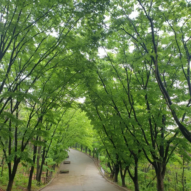 소망가운데