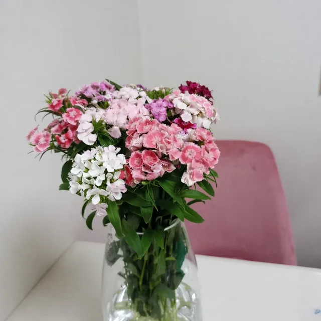 보롱