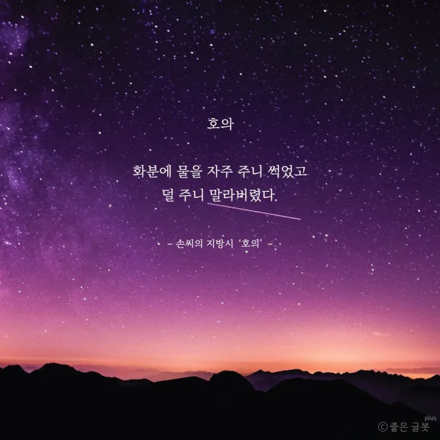 별헤는새벽